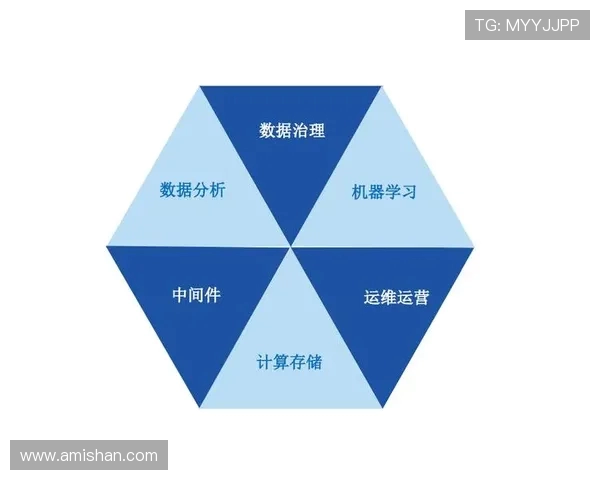 数据分析探讨：WE意识在不同群体中的表现与影响研究